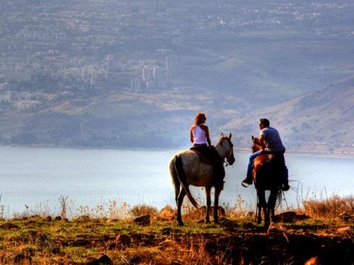 חוות ורד הגליל, טיולי סוסים וגם לינה במקום