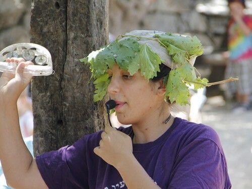 מוזיאון המשלב פעילות טבע