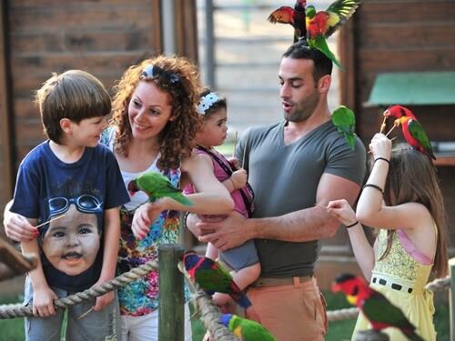 חוויה לכל המשפחה, גן גורו