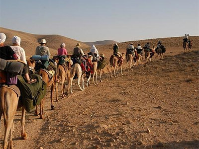 מחלבות צהלה