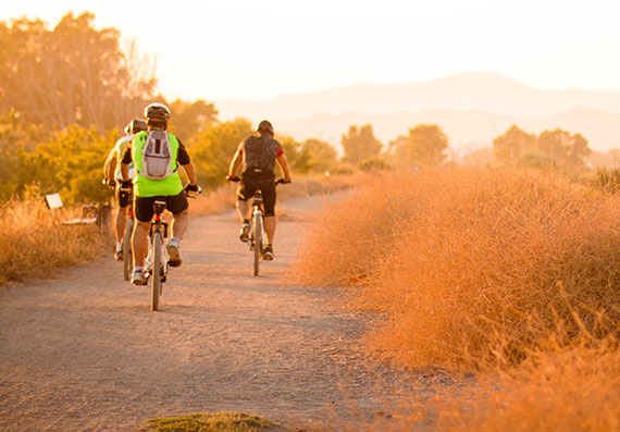 קיבוץ רוחמה