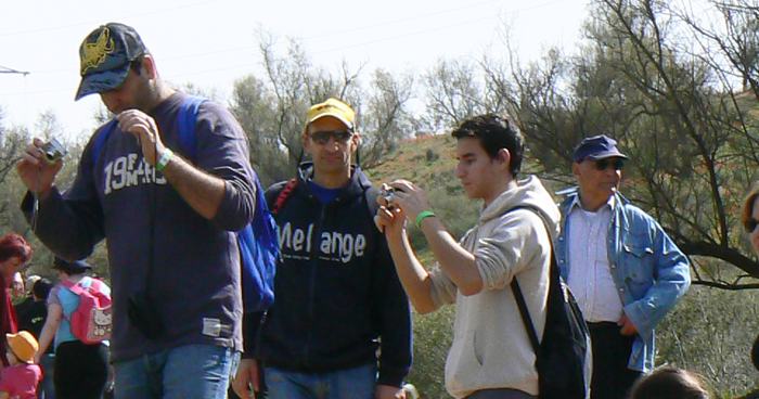 צבע, טעם, ורגש