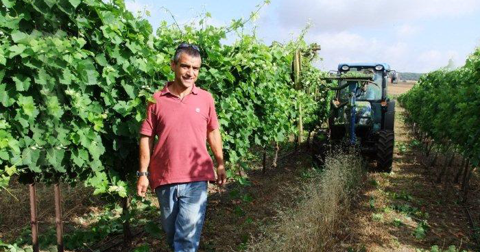 צבע, טעם, ורגש