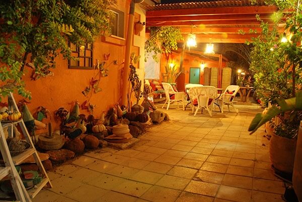 אורחת גמלים - החאן והצימרים של בטי