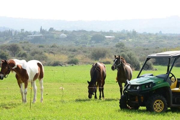 בשביל האושר 