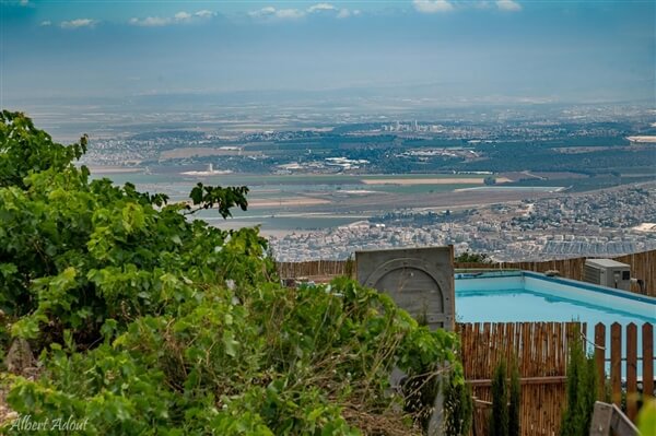 האלפים של הכרמל