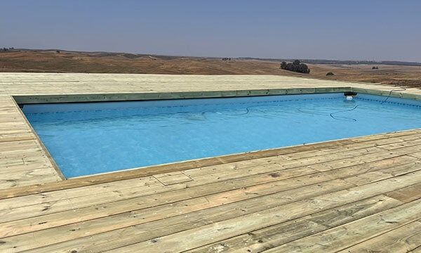 החווה של צביקה