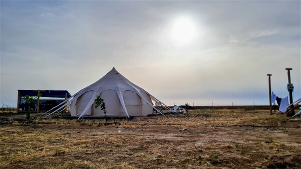 חוות הדקלים