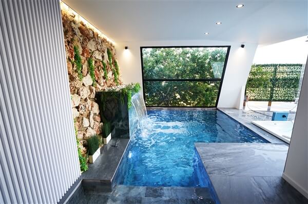 סווויטה אוליב