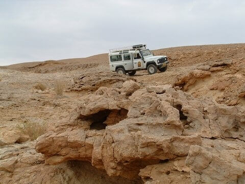 עמוס אבירן טיולי ג'יפים