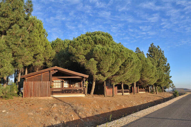 מרחבים ירוקים מרגיעים