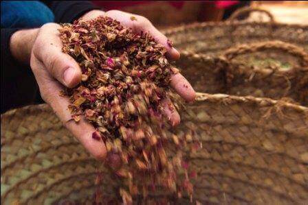 עיר של ריחות וצבעים (צילום יח"צ)