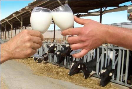 טעים ומתוק ( צילום ארכיון יוטבתה)