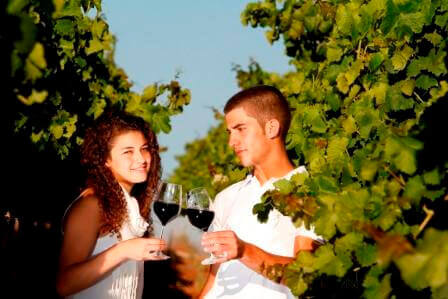 בפעם השמינית: פסטיבל בין הכרמים