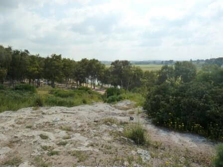 מזג אוויר מושלם: יוצאים לשטח