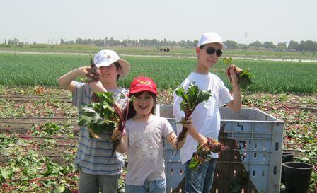 לקט ישראל: חוויה שהיא תרומה מהלב