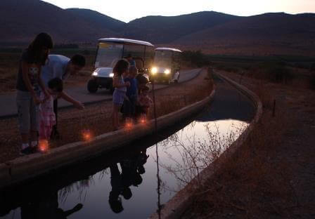 פעילוית חנוכה 2014: מה עושים עם הילדים