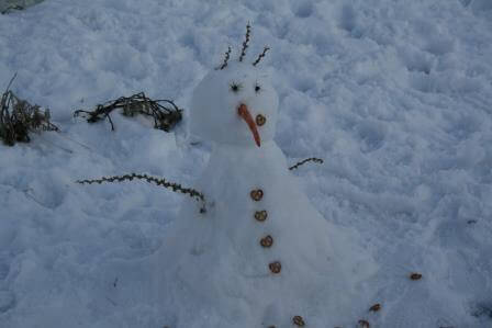 קסם הצפון: לא רק בחורף