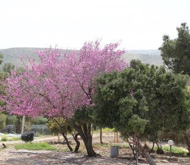 יער יתיר לכל המשפחה
