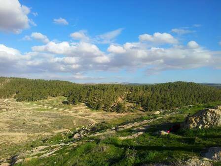 מה עושים עם הילדים? המלצות ליום העצמאות