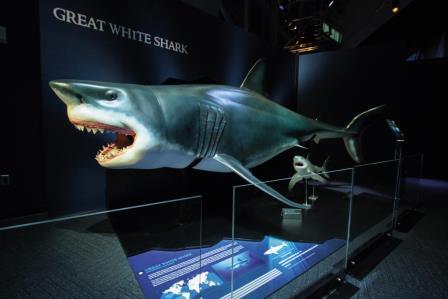 עם הילדים: פעילויות קיץ 2015