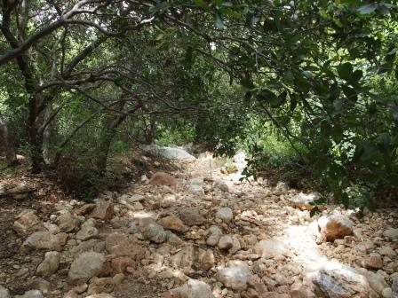 שבת בבוקר: 5 המלצות לטיול עם הקטנטנים