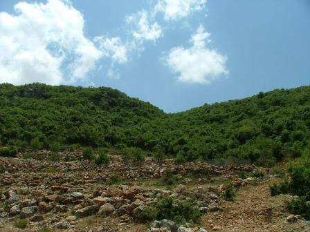 מעלה גמלא: נופש משקיף מההר