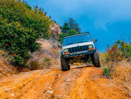 טיולי ג'יפים בנופים הירוקים של הצפון