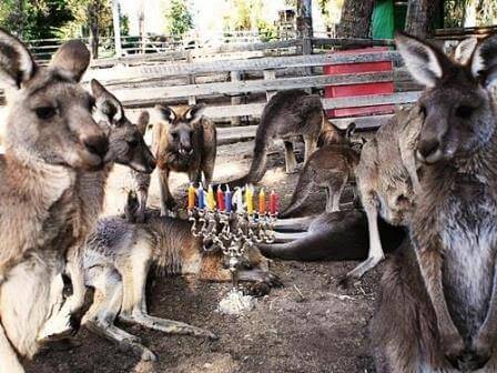 חנוכה: הפעילויות שיאירו לכם את החג