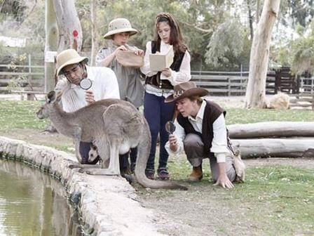 בשבת או בחג: המלצות לבילוי עם הילדים