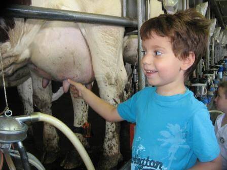 8 חוויות מומלצות לשבועות