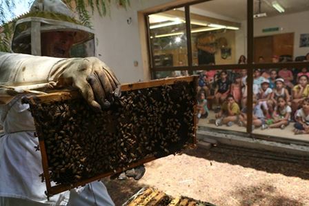 אירועי סוכות: המלצות לבילוי עם הילדים