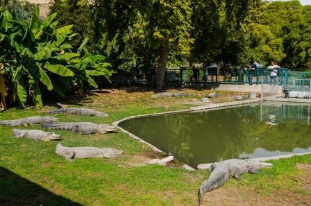 לא על הצימר לבדו: האטרקציות השוות במושב רמות