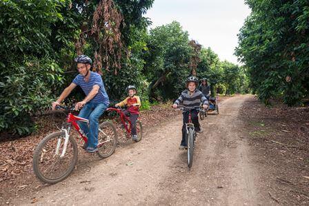 הפסח הזה: 4 קושיות שישדרגו לכם את החג