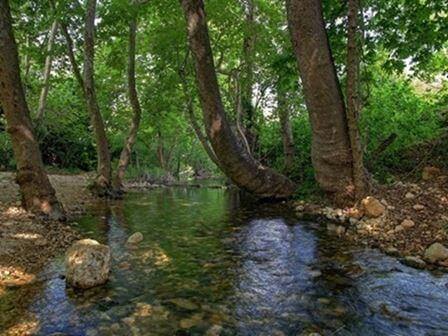 בלי מקל ותרמיל: מסלולי הליכה ידידותיים לכל המשפחה