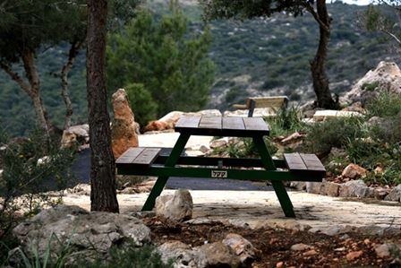 החיים זה פיקניק: ארוחת חג בטבע 