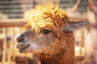 זה הזמן לעצירה - יורדים לאילת עם הילדים