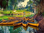 אטרקציות מהנות באזור כנרת וגליל תחתון