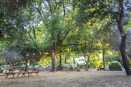 טיול אקסטרים בנחלי הארץ - סנפלינג, גלישה ועוד