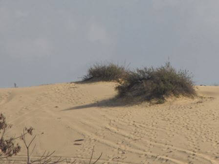 היי דרומה לטיול