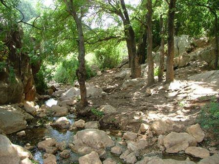 מבט קדימה: טיולים לשנה החדשה