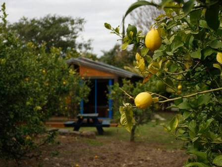 מגלים את הגולן