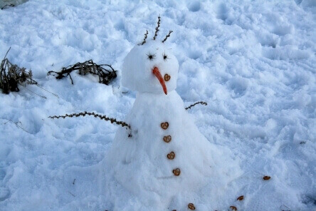 שווים רק בחורף:4 המלצות חמות