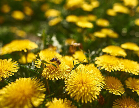 שלוש סיבות טובות לטיול בסתיו