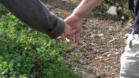 איך תכננו לטייל ונשארנו בצימר