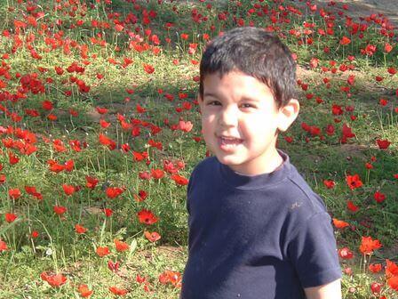 פורח בנגב: פסטיבל דרום אדום 2021