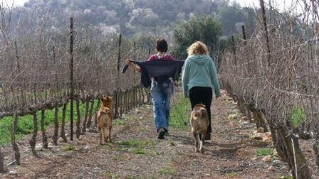 נבחרי האתר לחופשה המשפחתית המושלמת!