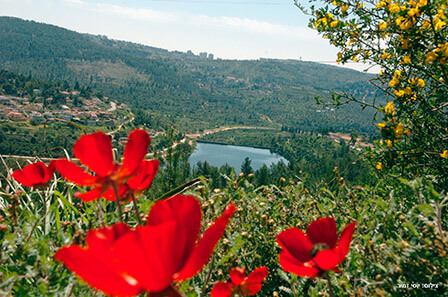 אירועי טבע: מסדרים לכם את הסופ"ש