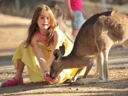עם הכי הרבה אהבה: פינות ליטוף