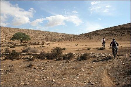 לא לפחד מהחום: מדוושים בנגב